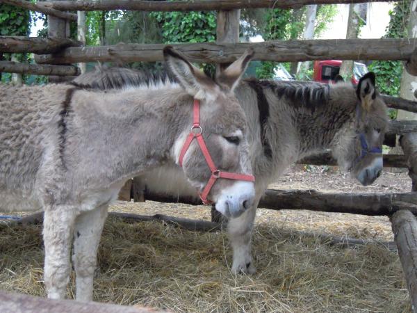 Название: DSCN4058.jpg
Просмотров: 817
Размер: 58.0 Кб