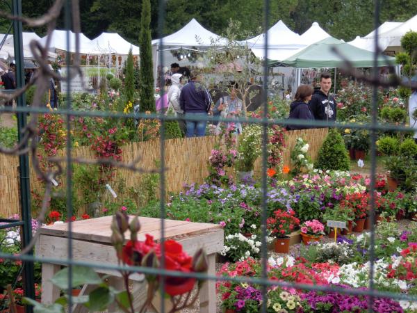 Название: DSCN4052.jpg
Просмотров: 814
Размер: 69.8 Кб