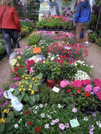 Название: DSCN4112.jpg
Просмотров: 1188
Размер: 48.4 Кб