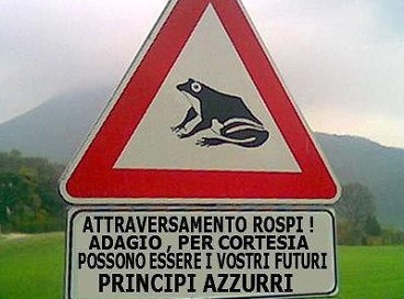 Название: Принцы.jpg
Просмотров: 796
Размер: 27.0 Кб