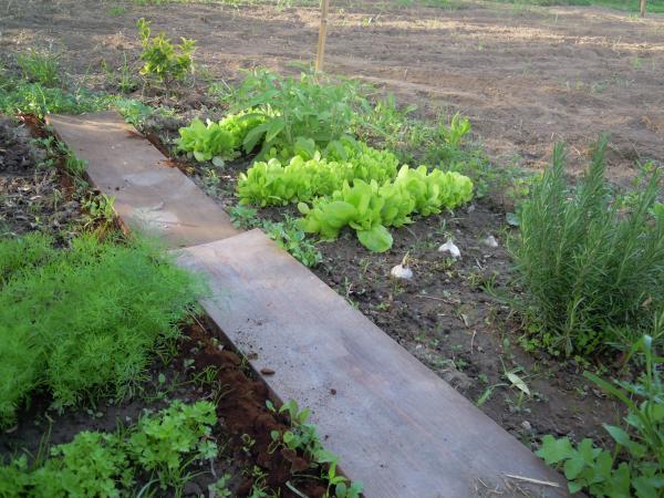 Название: DSCN4176.jpg
Просмотров: 1064
Размер: 61.9 Кб