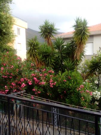 Название: IMG_20140624_093556.jpg
Просмотров: 1427
Размер: 35.6 Кб