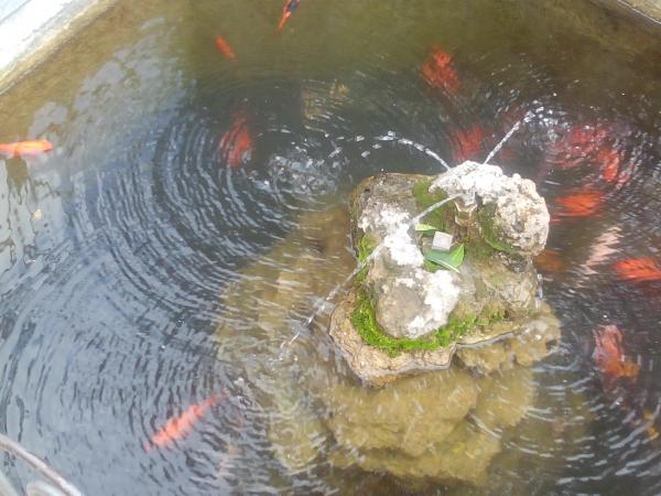 Название: IMG_20140825_140457.jpg
Просмотров: 1131
Размер: 47.2 Кб