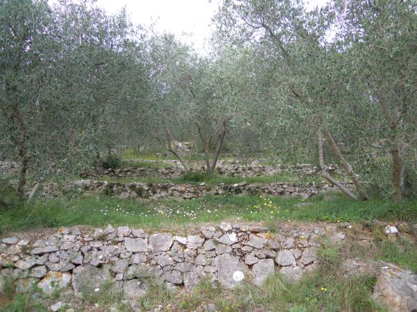 Название: DSCN5033.jpg
Просмотров: 1086
Размер: 73.7 Кб