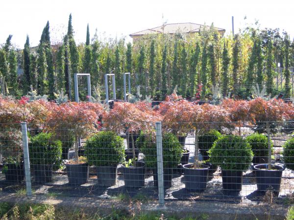 Название: DSCN4973.jpg
Просмотров: 1062
Размер: 73.8 Кб