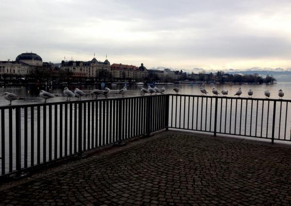 Название: IMG_1284.jpg
Просмотров: 801
Размер: 41.0 Кб