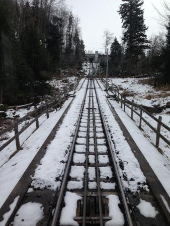 Название: IMG_1408.jpg
Просмотров: 718
Размер: 35.9 Кб