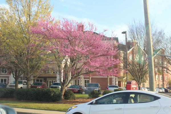 Название: IMG_0451.jpg
Просмотров: 811
Размер: 55.4 Кб