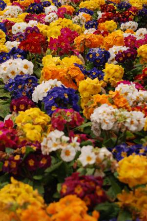 Название: DSC_9634.jpg
Просмотров: 1205
Размер: 36.3 Кб