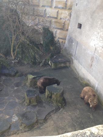 Название: 2015-03-06 11-27-58.jpg
Просмотров: 830
Размер: 25.1 Кб