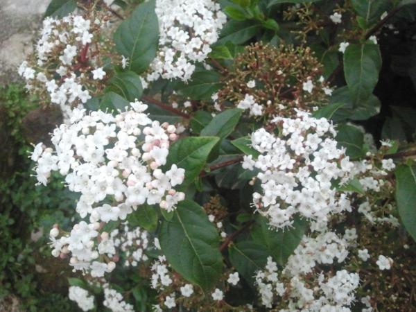 Название: 2015-03-24 17.53.20.jpg
Просмотров: 1345
Размер: 55.2 Кб