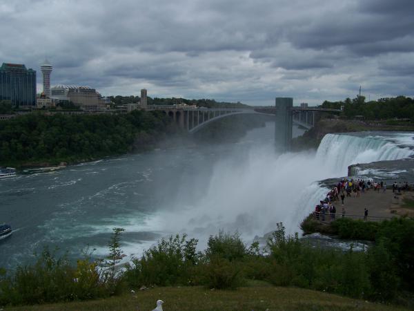 Название: 100_3697.jpg
Просмотров: 723
Размер: 32.1 Кб