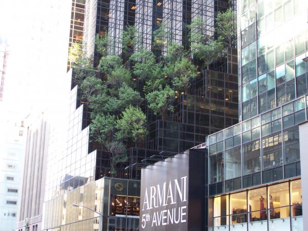 Название: Picture 191.jpg
Просмотров: 608
Размер: 57.3 Кб