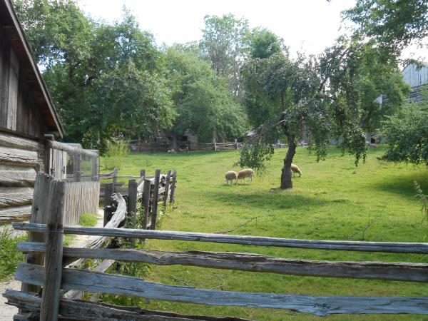 Название: DSCN0144.jpg
Просмотров: 9891
Размер: 64.8 Кб