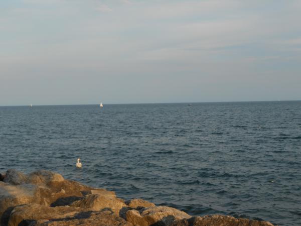 Название: DSCN0155.jpg
Просмотров: 898
Размер: 28.2 Кб