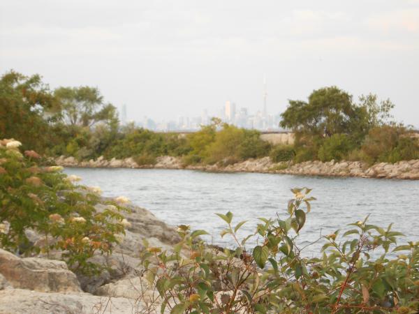 Название: DSCN0205.jpg
Просмотров: 1104
Размер: 41.8 Кб