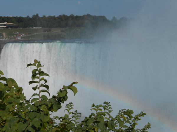 Название: DSCN0262.jpg
Просмотров: 740
Размер: 27.1 Кб