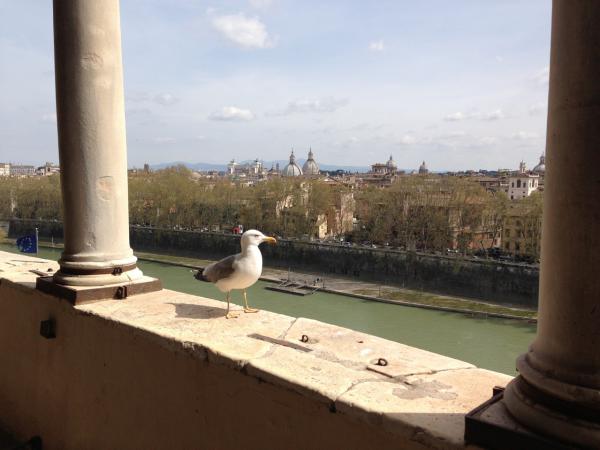 Название: IMG_4116.jpg
Просмотров: 700
Размер: 31.7 Кб