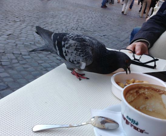 Название: IMG_3954.jpg
Просмотров: 759
Размер: 42.4 Кб