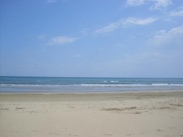 Название: SDC11879.jpg
Просмотров: 731
Размер: 17.4 Кб