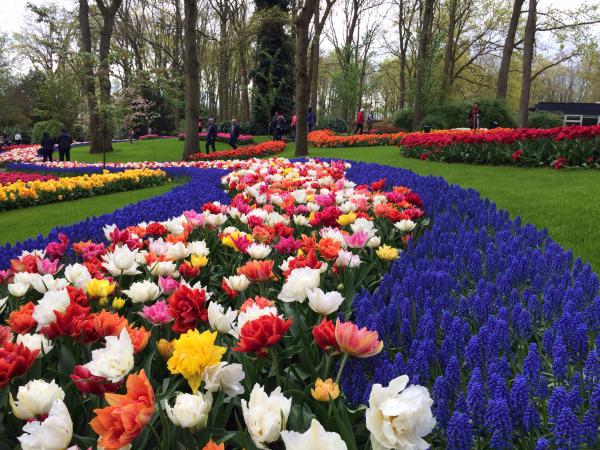 Название: image.jpg
Просмотров: 1085
Размер: 79.8 Кб