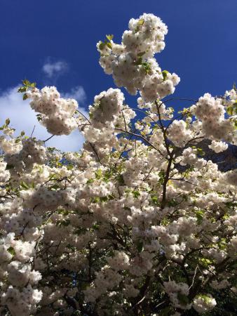 Название: image.jpg
Просмотров: 941
Размер: 39.3 Кб