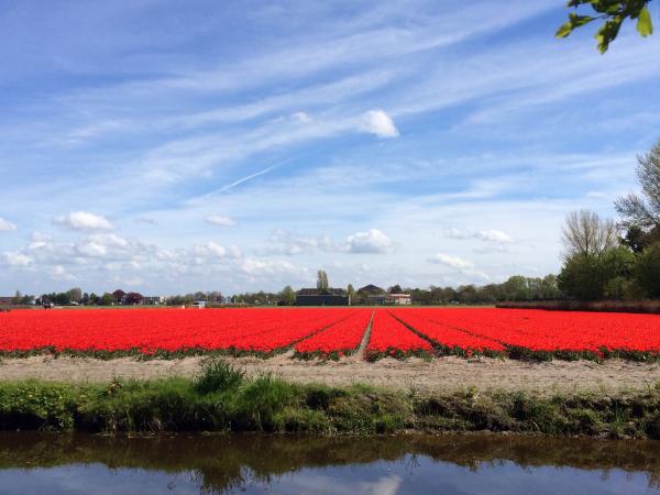 Название: image.jpg
Просмотров: 935
Размер: 39.0 Кб