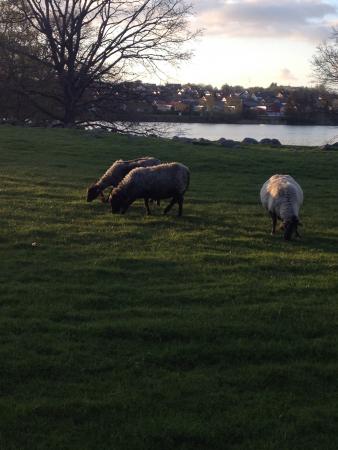 Название: 2015-05-08 20-52-16.jpg
Просмотров: 909
Размер: 24.5 Кб