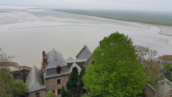 Название: 20150502_090706.jpg
Просмотров: 5017
Размер: 33.0 Кб