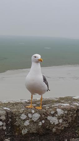 Название: 20150502_093227.jpg
Просмотров: 4995
Размер: 14.6 Кб