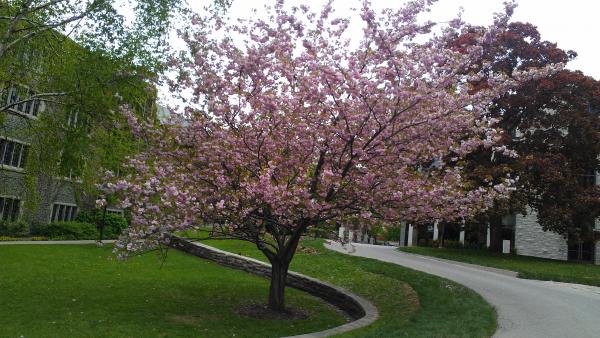 Название: IMAG0420.jpg
Просмотров: 1275
Размер: 56.0 Кб