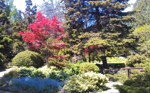 Название: IMAG0462.jpg
Просмотров: 1262
Размер: 83.3 Кб