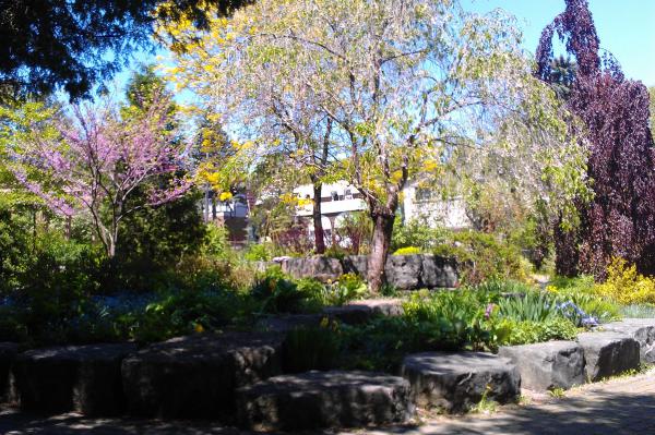 Название: IMAG0477.jpg
Просмотров: 1254
Размер: 75.7 Кб