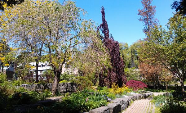 Название: IMAG0478.jpg
Просмотров: 1411
Размер: 78.8 Кб