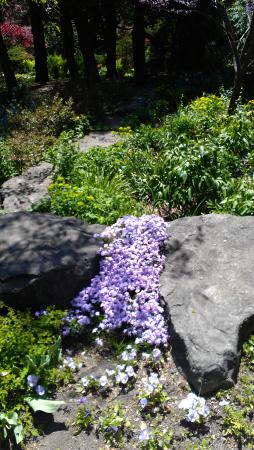 Название: IMAG0483.jpg
Просмотров: 1215
Размер: 37.5 Кб