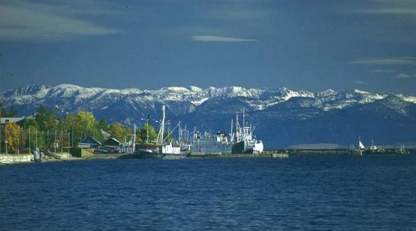 Название: лис 5.jpg
Просмотров: 1029
Размер: 26.3 Кб