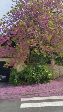 Название: 20150503_182140.jpg
Просмотров: 2964
Размер: 34.4 Кб