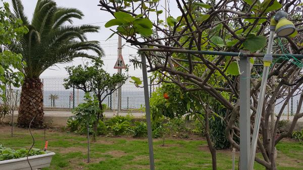 Название: 20150505_090228.jpg
Просмотров: 2569
Размер: 61.5 Кб