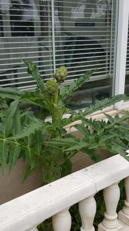 Название: 20150505_090420.jpg
Просмотров: 2568
Размер: 25.9 Кб