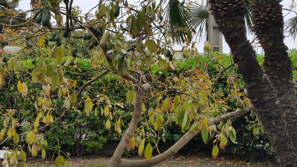 Название: 20150505_090510.jpg
Просмотров: 2936
Размер: 68.1 Кб