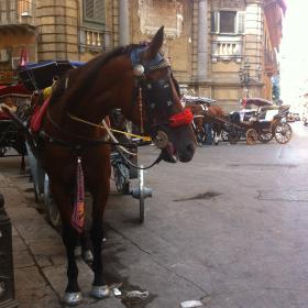 Название: image-09-07-15-21-07-3.jpg
Просмотров: 3073
Размер: 15.3 Кб