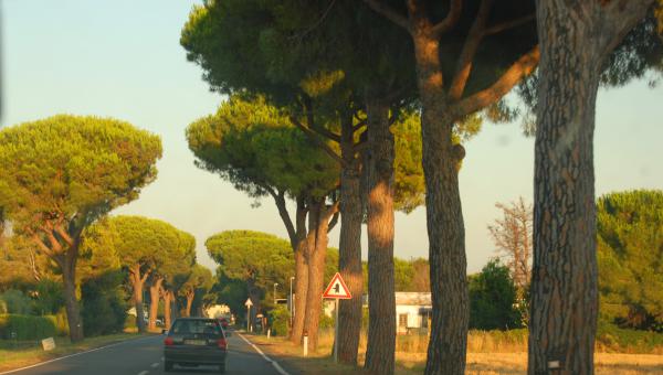 Название: 3.jpg
Просмотров: 828
Размер: 35.4 Кб