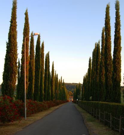 Название: 4.jpg
Просмотров: 819
Размер: 28.7 Кб