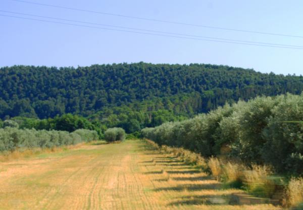 Название: 7.jpg
Просмотров: 730
Размер: 33.9 Кб