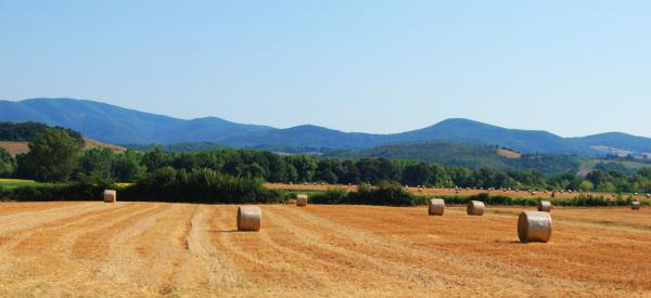 Название: 8.jpg
Просмотров: 732
Размер: 21.8 Кб