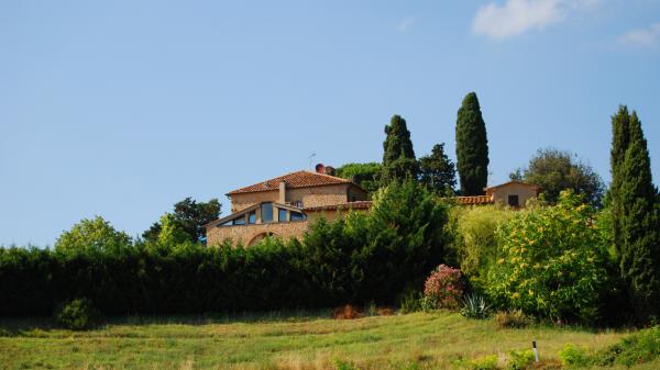 Название: 31.jpg
Просмотров: 722
Размер: 29.3 Кб