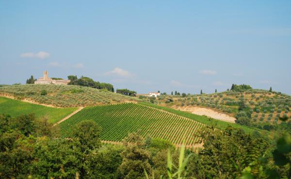 Название: 33.jpg
Просмотров: 729
Размер: 34.9 Кб