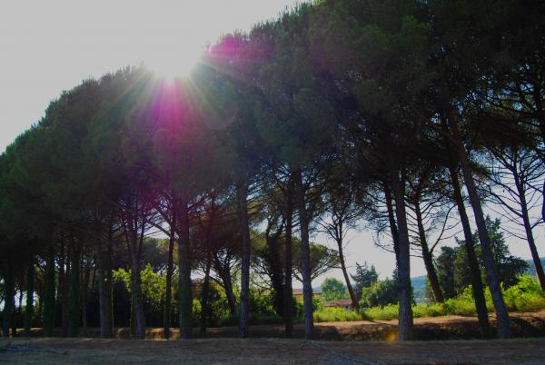 Название: 51.jpg
Просмотров: 814
Размер: 41.2 Кб