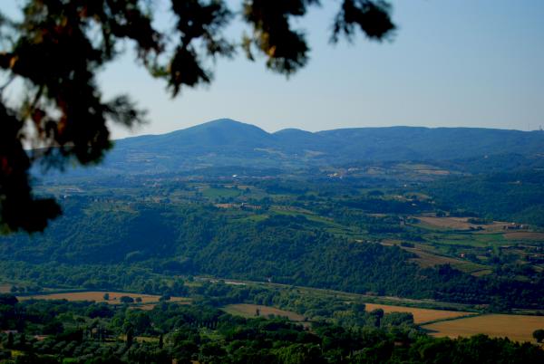 Название: 58.jpg
Просмотров: 728
Размер: 35.3 Кб