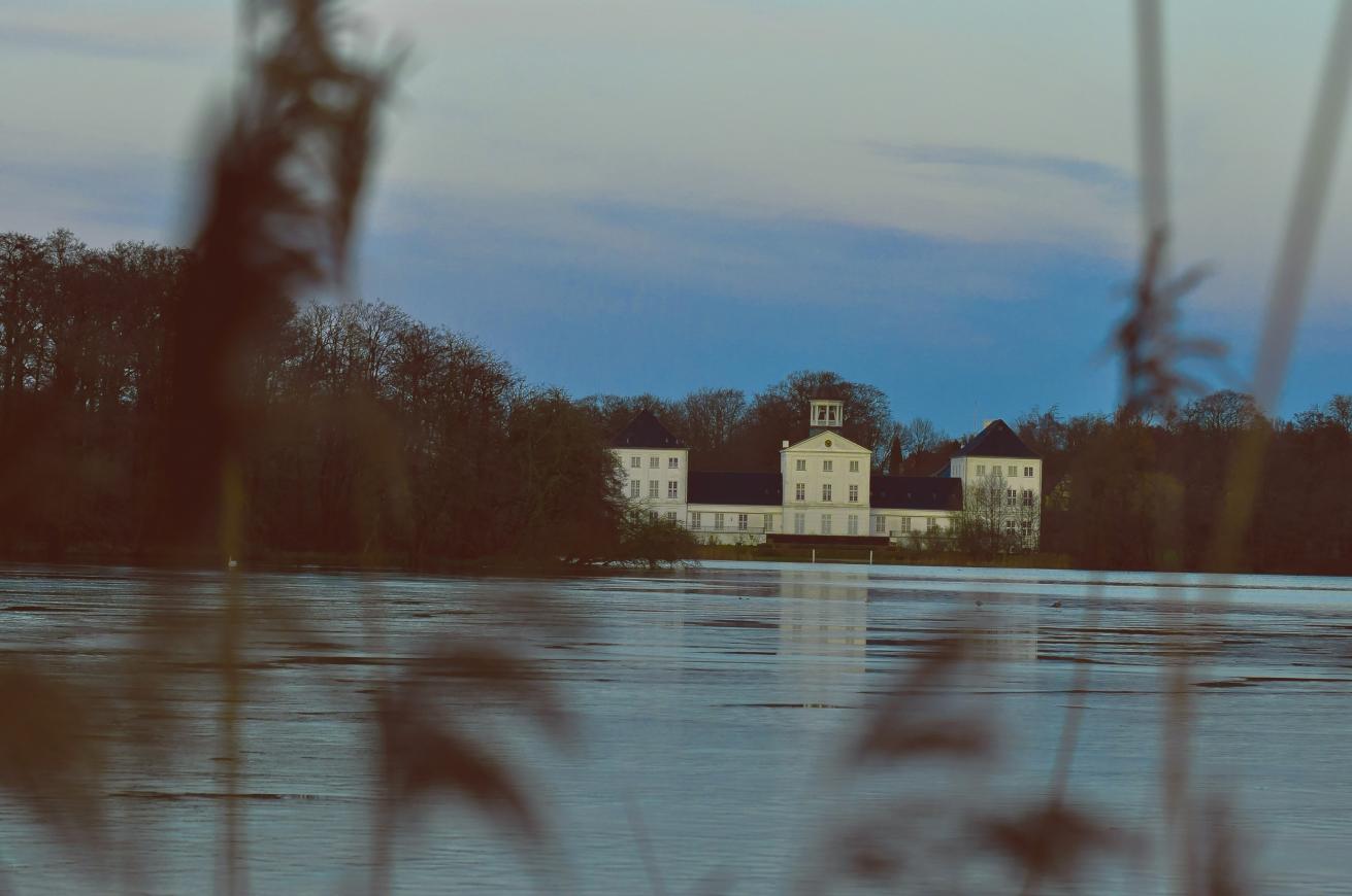 Название: DSC_0353.jpg
Просмотров: 5765
Размер: 90.2 Кб